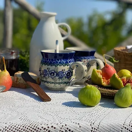 Campagna Vista Mare *