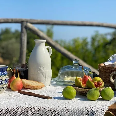 Campagna Vista Mare *